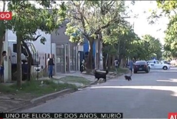 Ituzaingó: una mujer degolló a su hijo de 2 años e hirió a otros dos de 11 y 14 años