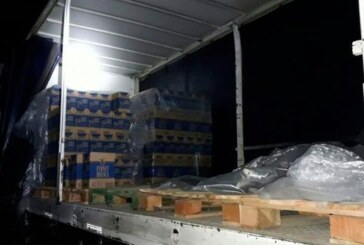 Desbaratan a piratas del asfalto y recuperan un cargamento de fernet