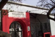 Morón | El Jardín Municipal N° 8 en alerta por invasión de ratas