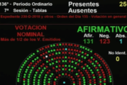 Se aprobó en el Congreso la legalización del aborto