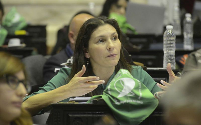 País | Mónica Macha presentó proyecto de ley federal de femicidios