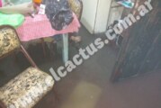 Morón | Por la inundación hubo desborde de cloacas en El Palomar
