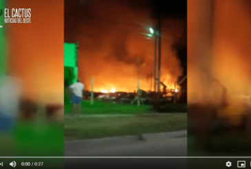 Morón | Se incendió el Vivero Municipal