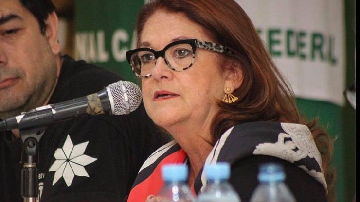 Entrevista a Alicia Castro | “Lavagna es el candidato del establishment”