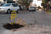 #Video | Vecinos de Castelar se cansaron del pozo y lo hicieron macetero