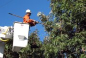 Ituzaingó | Capacitación para podadores