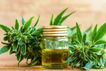 Autorizan a farmacias bonaerenses proveer aceite de cannabis a pacientes epilépticos