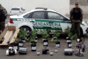 Cazando al consumidor | En 2019 incautaron 8 gramos de cannabis en promedio por operativo