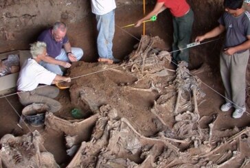 Postulan al Equipo Argentino de Antropología Forense al premio Nobel de la paz