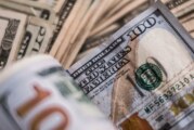 El Banco Central investiga qué se hizo con la deuda y la fuga de dólares