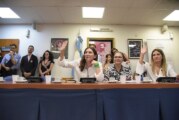 País | Por primera vez el Congreso tiene Comisión de Mujeres y Diversidades