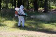Dengue | Hay otros 14 casos confirmados en La Matanza