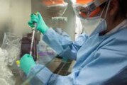 Ituzaingó | Confirman un nuevo caso de Coronavirus