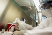 El Instituto Malbrán identificó la circulación de tres cepas diferentes del Covid-19 en Argentina