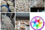 Solidaridad en Tiempos de Pandemia