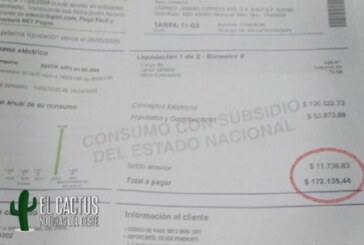 Una vecina de La Matanza recibió una boleta de luz por más de 170 mil pesos