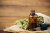 Autocultivo | El Gobierno permitirá el cultivo de cannabis para usuarios terapéuticos