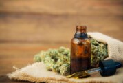 Autocultivo | El Gobierno permitirá el cultivo de cannabis para usuarios terapéuticos