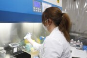 Viruela de Mono | Confirmaron un caso autóctono en Argentina