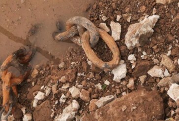 Investigadores de la UNLu analizan cadenas halladas en Vuelta de Obligado que serían las de la batalla