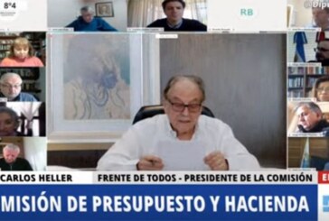 Grandes fortunas | Este martes Diputados comenzará a debatir en comisión el proyecto de aporte solidario