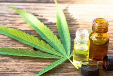 Autocultivo | Proyecto para regular el uso medicinal del cannabis en Morón