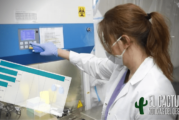 Coronavirus en el oeste | Más de 3500 vecinas y vecinos de la región fallecieron por Covid-19