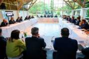 Los 24 gobernadores pidieron unidad “sin mezquindades” para “reducir los daños” de la pandemia