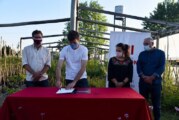 Autocultivo | Morón se adhirió a la legalización del cannabis medicinal