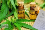 Autocultivo | La Defensoría del Pueblo bonaerense apoya el Proyecto de Cannabis Terapéutico en Morón
