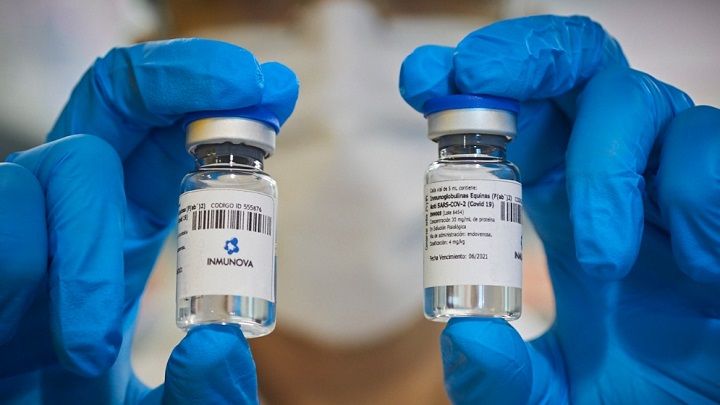 La ANMAT aprobó el uso del suero equino hiperinmune para el tratamiento del coronavirus