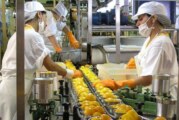 Lanzan nuevos créditos para PyMEs de alimentos