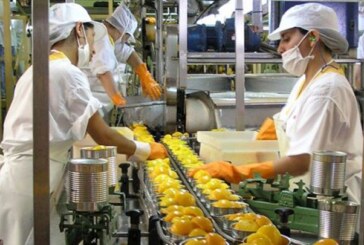 Lanzan nuevos créditos para PyMEs de alimentos