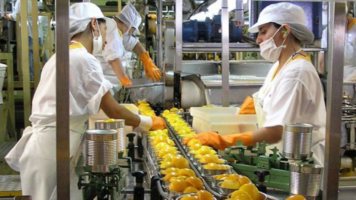 Lanzan nuevos créditos para PyMEs de alimentos