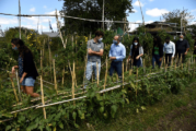 Morón | Ghi y Sabbatella firmaron un acuerdo para avanzar con la agricultura sostenible en el distrito
