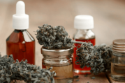 País | Abierta la inscripción para cultivadores de Cannabis Medicinal