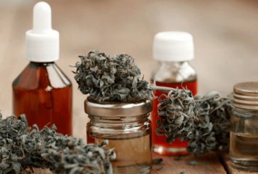 País | Abierta la inscripción para cultivadores de Cannabis Medicinal