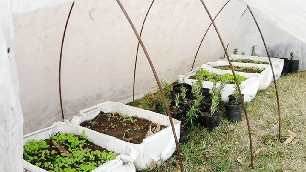 La Matanza | Capacitación virtual sobre Huerta Familiar Agroecológica