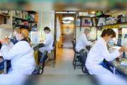 País | Científicas y científicos del CONICET avanzan en una vacuna de 2da generación contra el Coronavirus