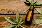 País | La regulación de Cannabis Medicinal obtuvo dictamen en el Senado