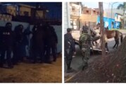 La Matanza | Rescataron a 22 caballos que sufrían maltrato y eran explotados en cinchadas