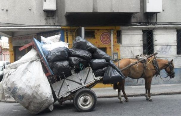 Ituzaingó | Se aprobó el proyecto que prohíbe la tracción a sangre en el distrito