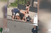 Hurlingham | Feroz ataque de un Pitbull a un trabajador