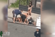 Hurlingham | Feroz ataque de un Pitbull a un trabajador