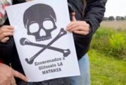 La Matanza | Alerta por envenenados con glifosato en Virrey del Pino