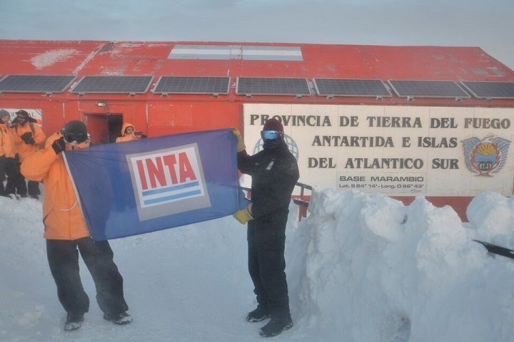 Lograron cultivar verduras en la Base Marambio de la Antártida