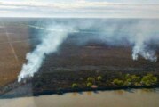 El Gobierno anunció la construcción de un Centro de Investigación para la preservación del Delta e Islas del Paraná