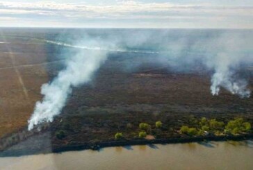 El Gobierno anunció la construcción de un Centro de Investigación para la preservación del Delta e Islas del Paraná