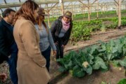 Moreno | Se inauguró la segunda etapa del Parque Agrario del Oeste