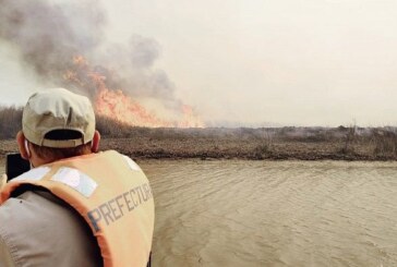 Provincia | Detuvieron a tres personas acusadas de provocar incendios en el Delta